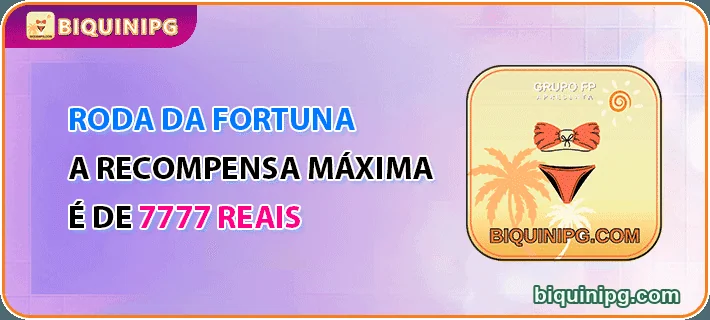 Interface premium do app VIP da biquinipg.com